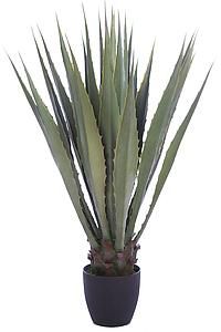 CACTUS AGAVE 103CM *KD9117