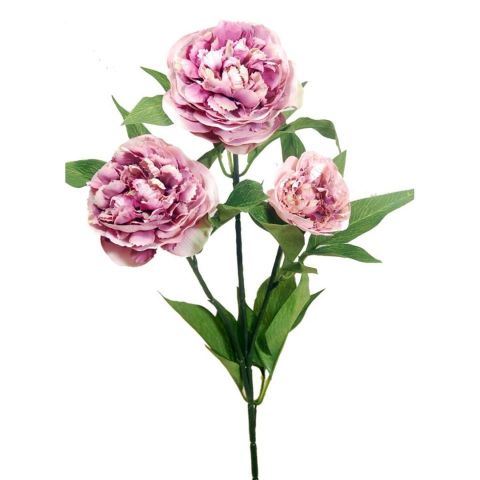 VARA RANANCULUS X3 *ROSA 70CM C172/2