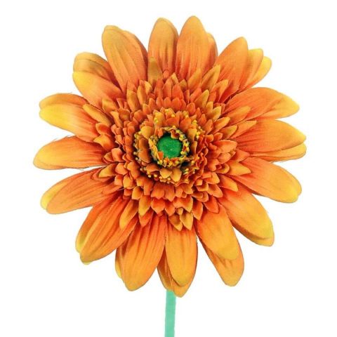 VARA GERBERA *NARANJA F660/2