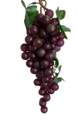 M22/1 FRUTAS UVAS PEQUEÑAS *MORADA 