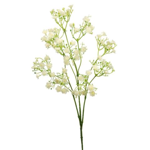 VARA GYPSOPHILA *CREMA F715/1