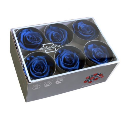 RST2630 BOX ROSA STANDAR AZUL