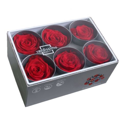 CAJA 6 ROSA PRESERVADA ROJA RST/2200