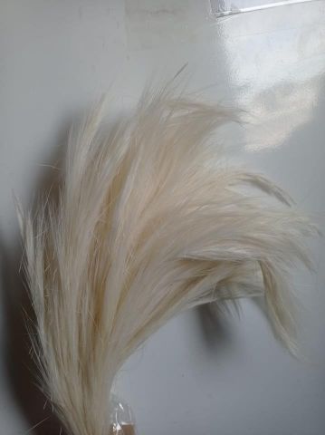 FOX GRASS*BLANCO 000.326-00