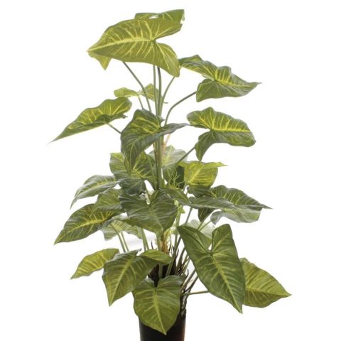 PLANTA EGONIUM *VERDE 7183-VERD