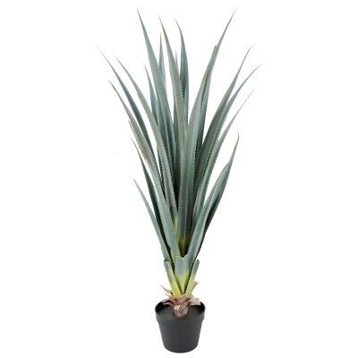 PLANTA ALOE 105 CMS G617/1