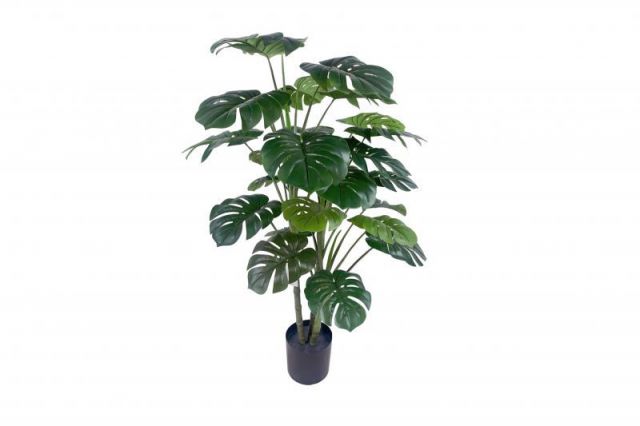 PLANTA COSTILLA  120 CMS 0932159