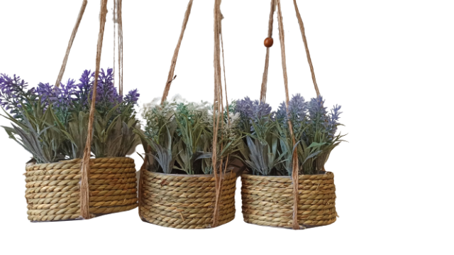 MACETA COLGAR LAVANDA SURTIDAS17/42CM 983716