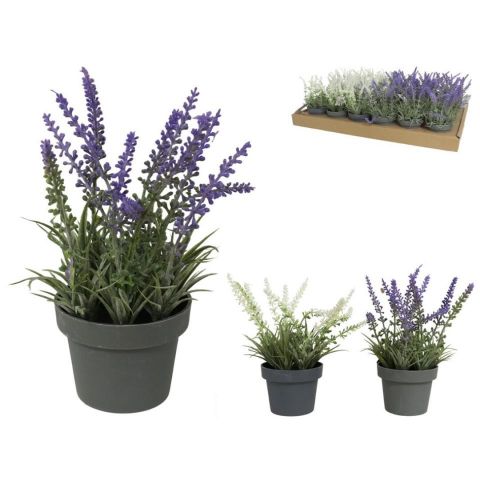 MACETA LAVANDA *SURTIDAS 16CM 379830