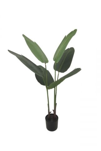 ARBOL DEL VIAJERO 110 CMS 0933288