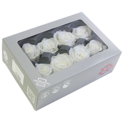 ROSA MEDIUM *BLANCA BOX 8 *RME/3000