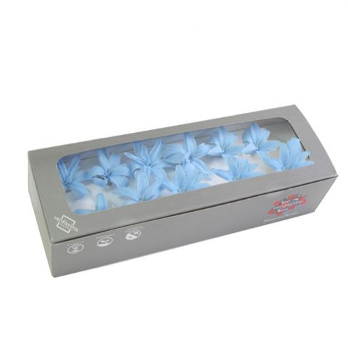 CAJA FLOR DE NARDO 12UNDS *CELESTE *NAR/1640