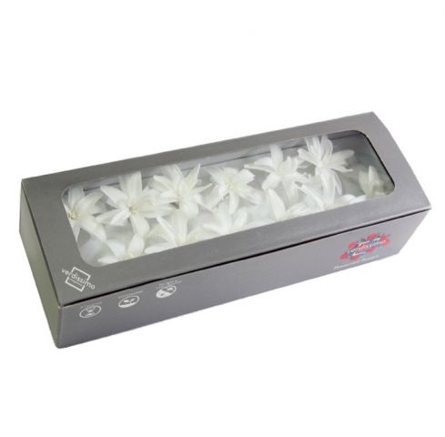 CAJA FLOR DE NARDOS 12UNDS *BLANCO *NAR/1000