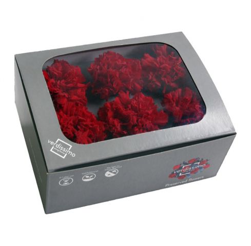 CAJA CLAVEL PRESERVADO 6UNDS *ROJO *CAR/1200