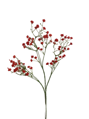 VARA PANICULATA *ROJO MU-1860-4