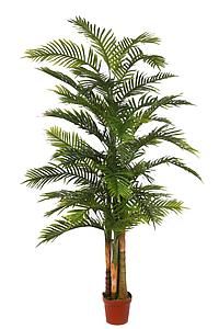 PALMERA X4 205CM *KD8802