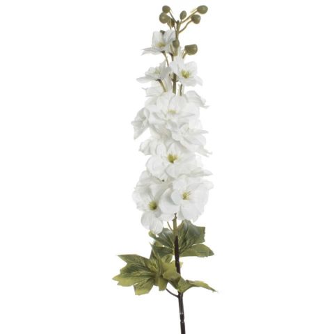 VARAV DELPHINIUM*BLANCO 7468