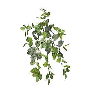 PLANTA FITONIA COLGANTE ARTIFICIAL 60  CMS KS6014