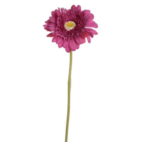 VARA GERBERA *FUCSIA 1701