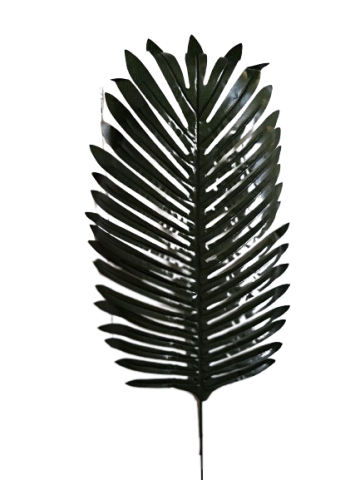 HOJA PALMERA 