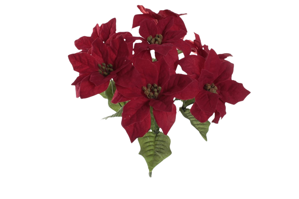 RAMO POINSETIA 95065