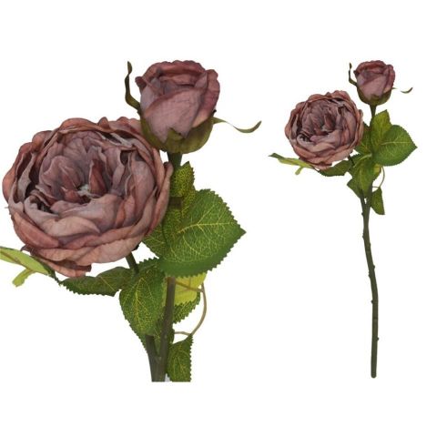 VARA ROSA DRIED X2 *VIOLETA 208404