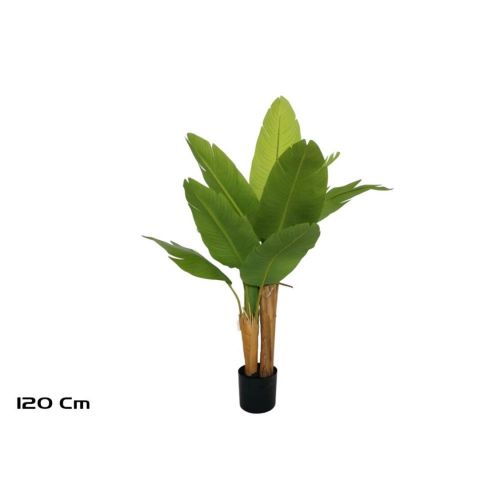 PLANTA PLATANERO 120CM *206684