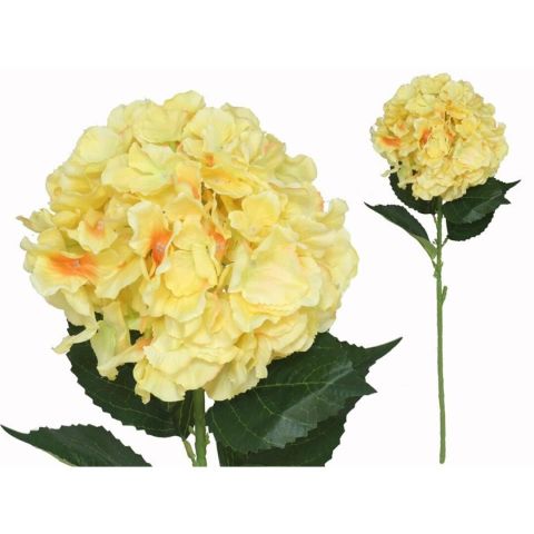 VARA HORTENSIA BIG *AMARILLO  77CM *217048