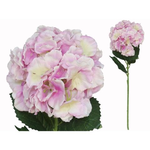 VARA HORTENSIA BIG 77CM *MALVA 217093