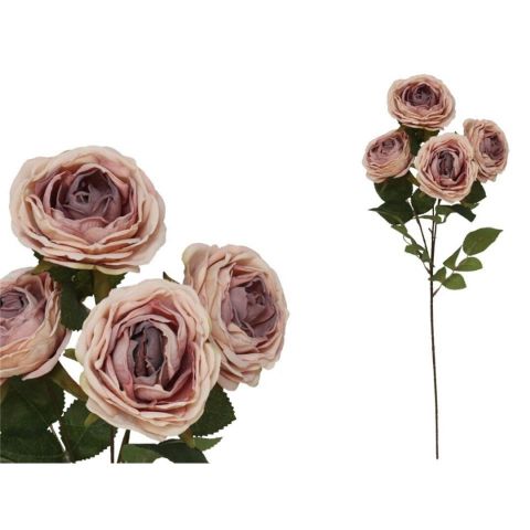 VARA ROSA CABBAGE  DRIED X4 82CM *ROSA 208459