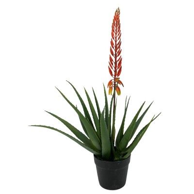 PLANTA AGAVE X2 +FLOR SUC.ROJA E538-M