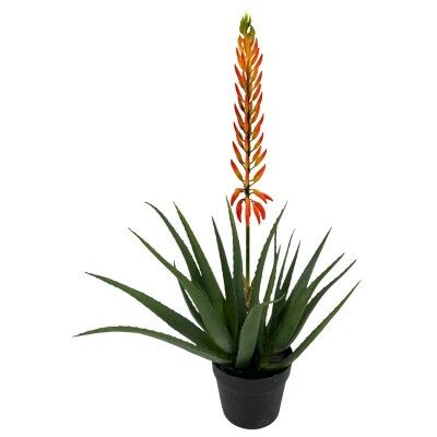 PLANTAS AGAVE X2 + FLOR SUC. NARANJA E538-4M