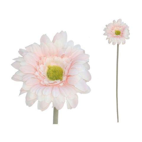 VARA GERBERA MICRO-12CMS /52CMS *CREMA 27672