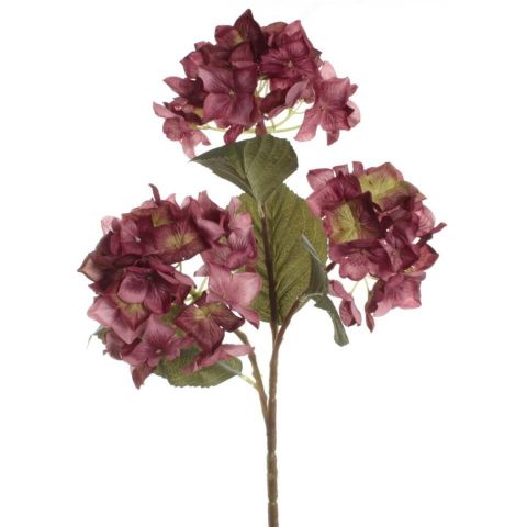 HORTENSIA X3 *BURDEOS 7333