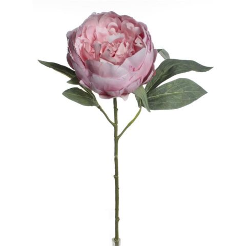 VARA PEONIA *ROSA 7566