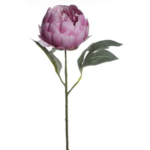 VARA PEONIA *LILA 7566