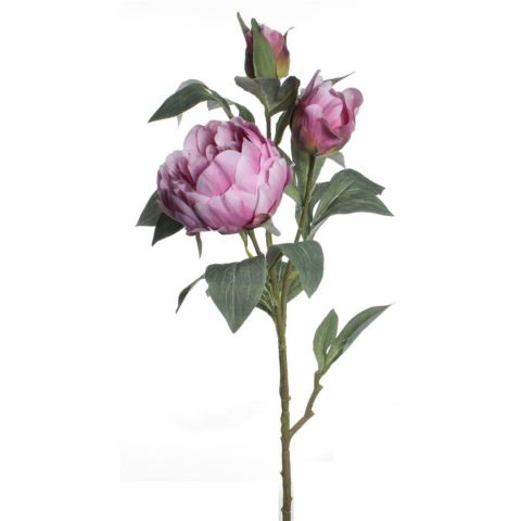 VARA PEONIA X3 *LILA 7568