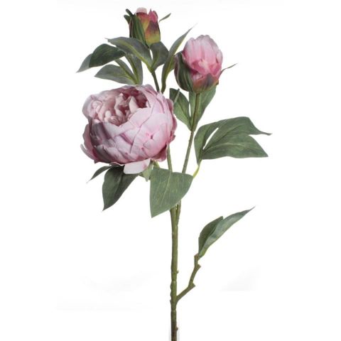 VARA PEONIA X3 *ROSA 7568