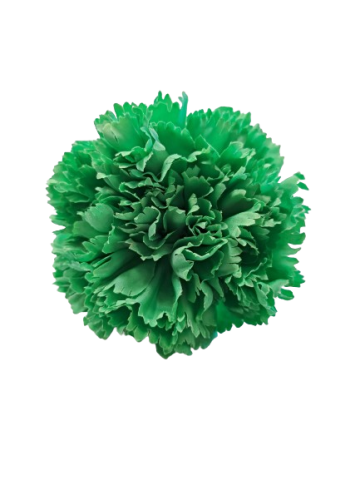 CLAVEL *VERDE LIMA  0026