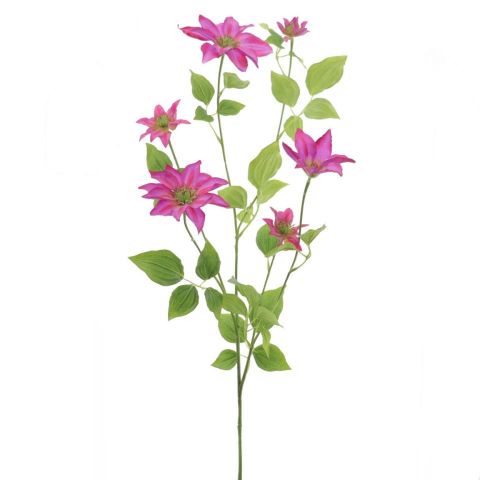 VARA CLEMATIS 1,14MTR *PURPURA 6810-16