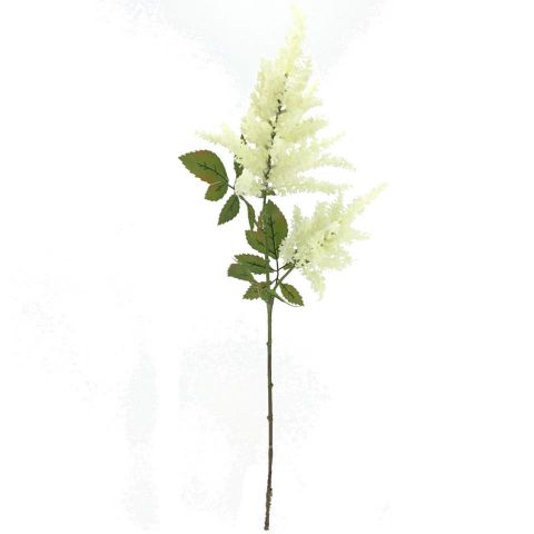 VARA ASTILBE X2 *CREMA 4540-01