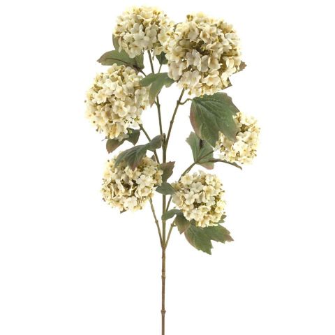 VARA VIBURNUM X6 *BEIGE  2221-31