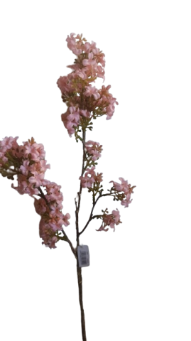 VARA VIBURNUM *ROSA 6995-12