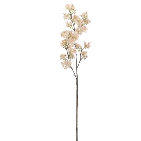 VARA VIBURNUM *CREMA 6995-01