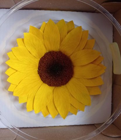 GIRASOL XXL 76969