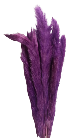 PLUMA DECORATIVA PRESERVADA*MORADO 000.377-80