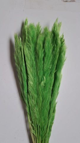 PLUMA PRESERVADA *VERDE 000-377.60