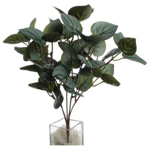 PLANTA PEPEROMIA CAPERATA 7584-VERDE